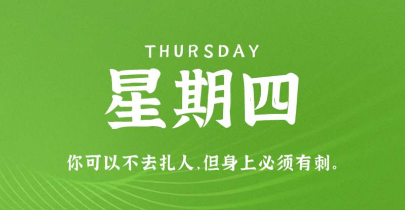 早报的微博
